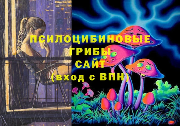 apvp Бронницы